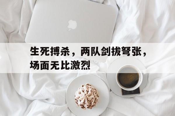 生死搏杀，两队剑拔弩张，场面无比激烈的简单介绍